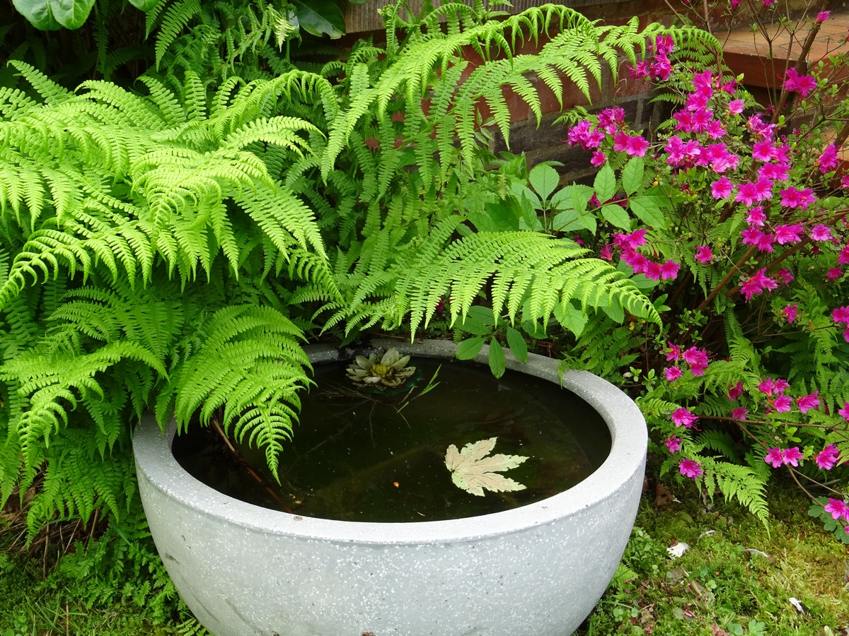 Dco au jardin